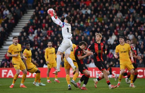 AFC Bournemouth vs Lobos