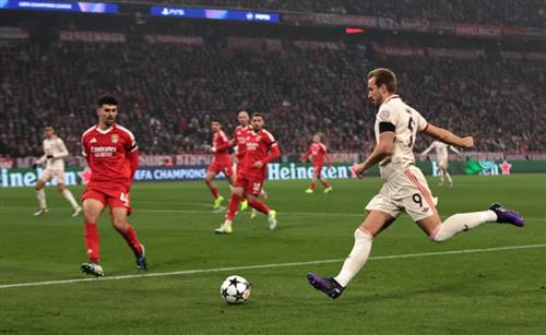 Bayern Múnich vs Benfica