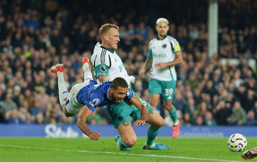 Everton-Newcastle United
