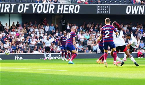 Fulham-Newcastle United