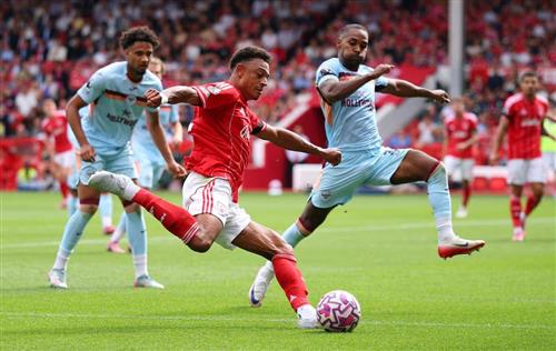 Bosque de Nottingham contra Brentford